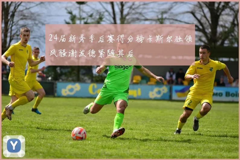 24届新秀季后赛得分榜卡斯尔独领风骚谢泼德紧随其后