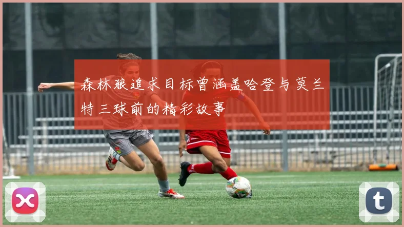 森林狼追求目标曾涵盖哈登与莫兰特三球前的精彩故事